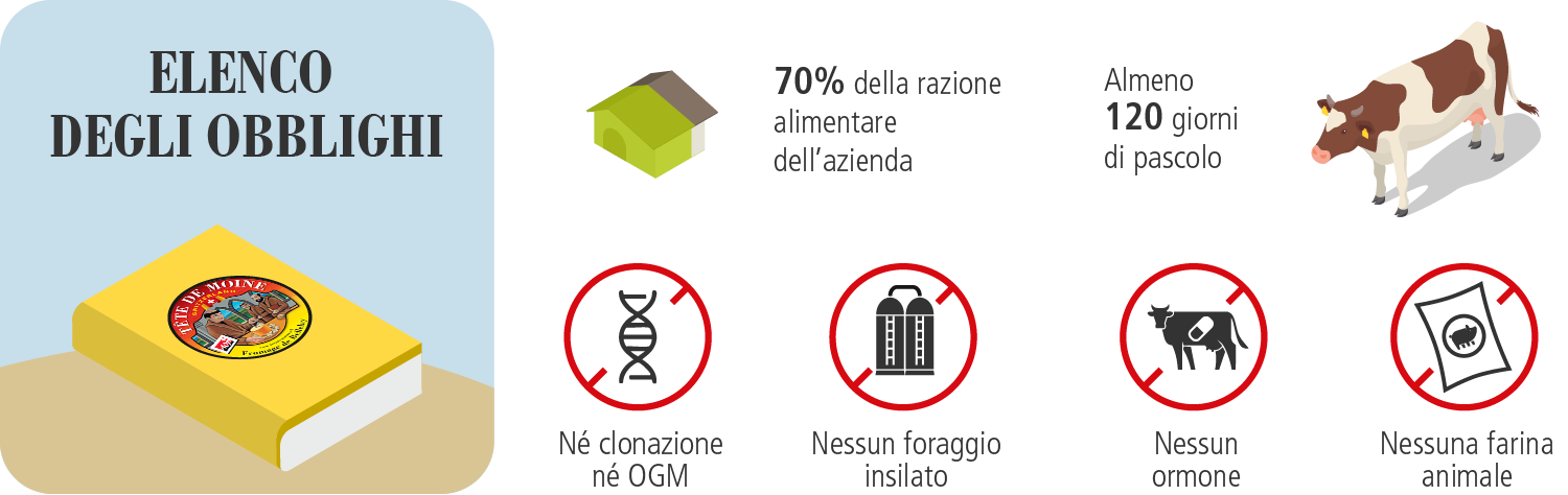 Elenco degli obblighi del Tête de Moine